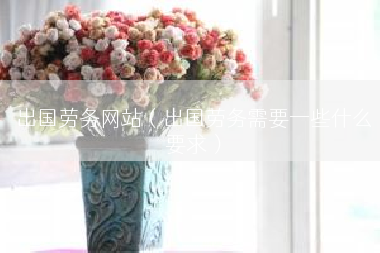 出国劳务网站（出国劳务需要一些什么要求）