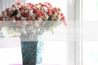 山东外经出国劳务（出国劳务需要多少钱国家有标准吗）