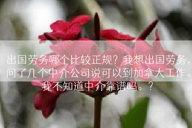 出国劳务哪个比较正规？我想出国劳务，问了几个中介公司说可以到加拿大工作。我不知道中介靠谱吗。？