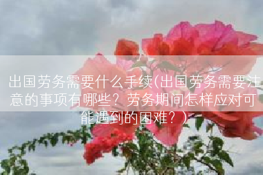 出国劳务需要什么手续(出国劳务需要注意的事项有哪些？劳务期间怎样应对可能遇到的困难？)