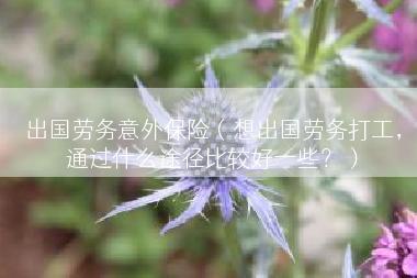 出国劳务意外保险（想出国劳务打工，通过什么途径比较好一些？）