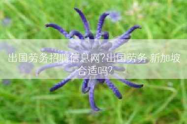 出国劳务招聘信息网?出国劳务 新加坡 合适吗?