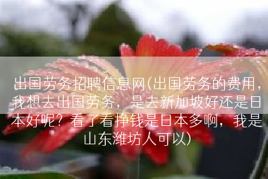 出国劳务招聘信息网(出国劳务的费用，我想去出国劳务，是去新加坡好还是日本好呢？看了看挣钱是日本多啊，我是山东潍坊人可以)