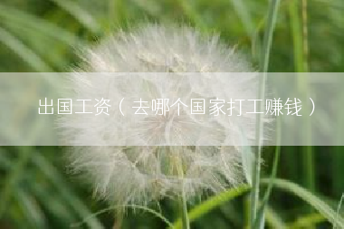 出国工资（去哪个国家打工赚钱）