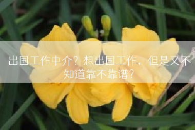 出国工作中介？想出国工作，但是又不知道靠不靠谱？