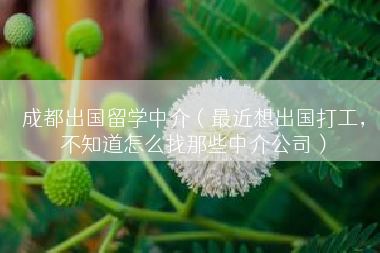 成都出国留学中介（最近想出国打工，不知道怎么找那些中介公司）