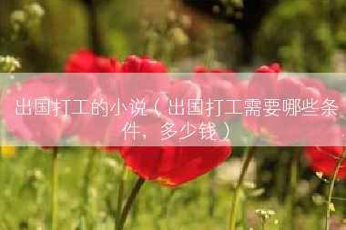 出国打工的小说（出国打工需要哪些条件，多少钱）