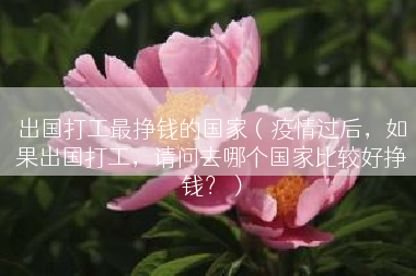 出国打工最挣钱的国家（疫情过后，如果出国打工，请问去哪个国家比较好挣钱？）