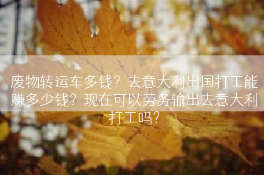 废物转运车多钱？去意大利出国打工能赚多少钱？现在可以劳务输出去意大利打工吗？
