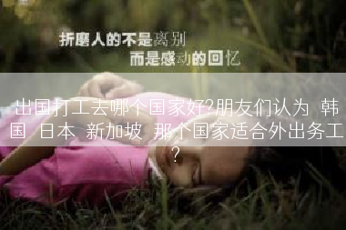 出国打工去哪个国家好?朋友们认为　韩国　日本　新加坡　那个国家适合外出务工　?