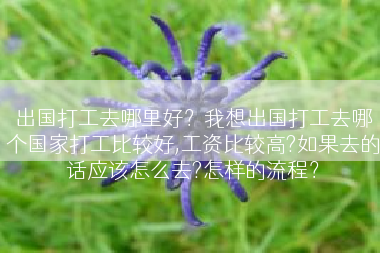 出国打工去哪里好？我想出国打工去哪个国家打工比较好,工资比较高?如果去的话应该怎么去?怎样的流程？