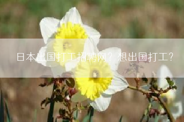日本出国打工招聘网？想出国打工？