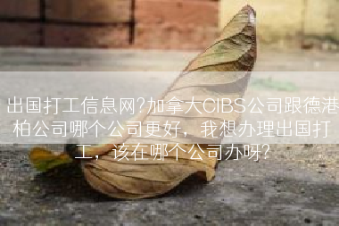 出国打工信息网?加拿大CIBS公司跟德港柏公司哪个公司更好，我想办理出国打工，该在哪个公司办呀?