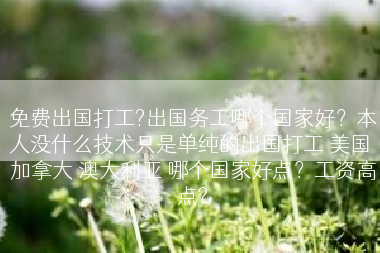 免费出国打工?出国务工哪个国家好？本人没什么技术只是单纯的出国打工 美国 加拿大 澳大利亚 哪个国家好点？工资高点?