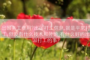 出国务工费用?出国打工信息,就是平常打工,但没有什么技术和外语,有什么好的出国打工的事?