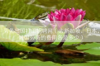 劳务出国打工招聘网（去新加坡，日本，韩国劳务的费用各是多少）