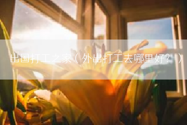 出国打工之家（外出打工去哪里好？）