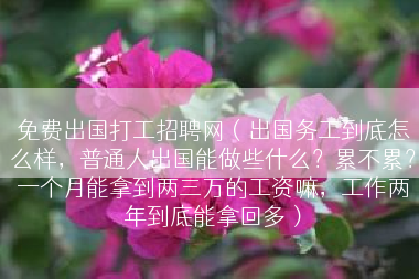 免费出国打工招聘网（出国务工到底怎么样，普通人出国能做些什么？累不累？一个月能拿到两三万的工资嘛，工作两年到底能拿回多）