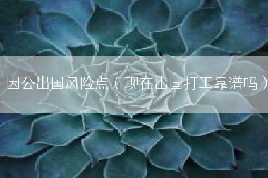 因公出国风险点（现在出国打工靠谱吗）