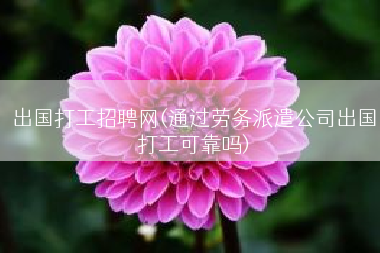 出国打工招聘网(通过劳务派遣公司出国打工可靠吗)