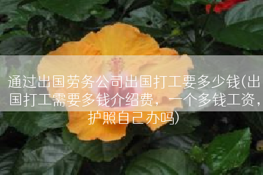 通过出国劳务公司出国打工要多少钱(出国打工需要多钱介绍费，一个多钱工资，护照自己办吗)