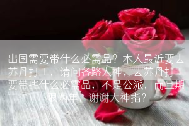 出国需要带什么必需品？本人最近要去苏丹打工，请问各路大神，去苏丹打工要带些什么必需品，不是公派，而且期限两年，谢谢大神指？