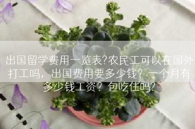 出国留学费用一览表?农民工可以在国外打工吗，出国费用要多少钱？一个月有多少钱工资？包吃住吗?