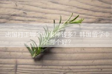 出国打工哪个国家挣钱多？韩国留学中介哪个好？