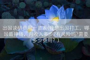 出国读研费用一览表(我想出国打工，哪国最挣钱，月收入多少?有风险吗?需要多少费用？)