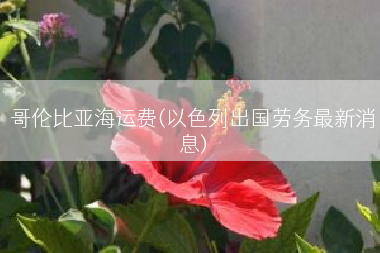 哥伦比亚海运费(以色列出国劳务最新消息)
