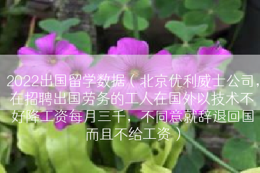 2022出国留学数据（北京优利威士公司，在招聘出国劳务的工人在国外以技术不好降工资每月三千，不同意就辞退回国而且不给工资）
