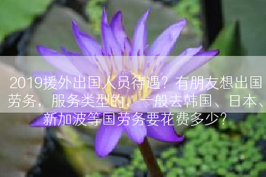 2019援外出国人员待遇？有朋友想出国劳务，服务类型的，一般去韩国、日本、新加波等国劳务要花费多少？