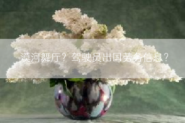 漠河舞厅？驾驶员出国劳务信息？