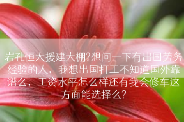 岩孔恒大援建大棚?想问一下有出国劳务经验的人，我想出国打工不知道国外靠谱么，工资水平怎么样还有我会修车这方面能选择么?