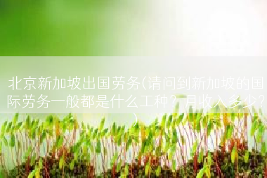 北京新加坡出国劳务(请问到新加坡的国际劳务一般都是什么工种？月收入多少？)