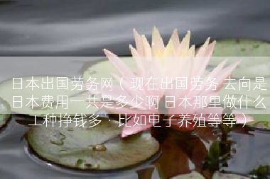日本出国劳务网（现在出国劳务 去向是日本费用一共是多少啊 日本那里做什么工种挣钱多·比如电子养殖等等）