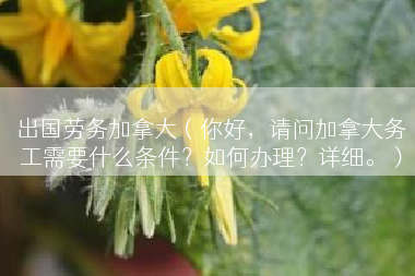 出国劳务加拿大（你好，请问加拿大务工需要什么条件？如何办理？详细。）