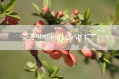 劳务出国中介(想出国打工)
