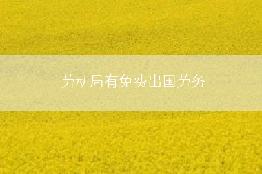 劳动局有免费出国劳务