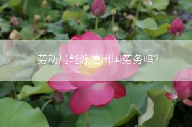 劳动局能派遣出国劳务吗?