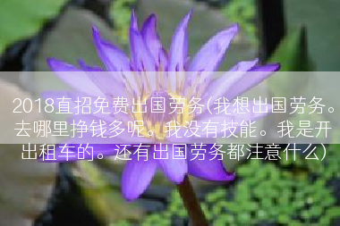 2018直招免费出国劳务(我想出国劳务。去哪里挣钱多呢。我没有技能。我是开出租车的。还有出国劳务都注意什么)