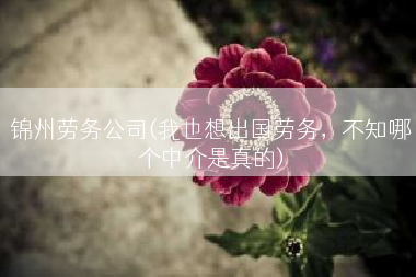 锦州劳务公司(我也想出国劳务，不知哪个中介是真的)