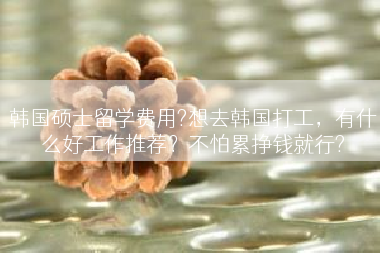 韩国硕士留学费用?想去韩国打工，有什么好工作推荐？不怕累挣钱就行?