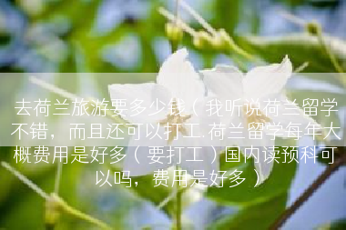 去荷兰旅游要多少钱（我听说荷兰留学不错，而且还可以打工.荷兰留学每年大概费用是好多（要打工）国内读预科可以吗，费用是好多）