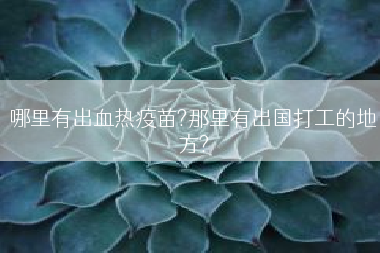 哪里有出血热疫苗?那里有出国打工的地方?