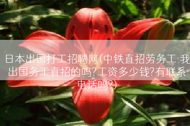 日本出国打工招聘网(中铁直招劳务工:我出国务工直招的吗?工资多少钱?有联系电话吗?)