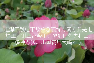 电焊工触电事故应急演练方案（我是电焊工，钳工都会干，想到国外去打工，多挣点钱。出国费用大吗？）