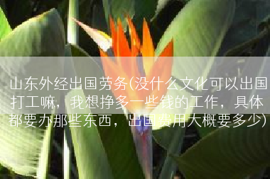 山东外经出国劳务(没什么文化可以出国打工嘛，我想挣多一些钱的工作，具体都要办那些东西，出国费用大概要多少)