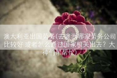 澳大利亚出国劳务(去澳洲哪家劳务公司比较好 或者怎么通过国家机关出去？大神们帮帮忙)