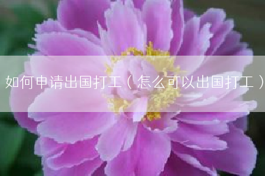 如何申请出国打工（怎么可以出国打工）